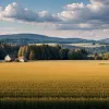 Неожиданное назначение: Мастер-мясник Алоис Райнер стал министром сельского хозяйства Германии