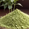 Мировой дефицит матча: популярный чай дорожает и становится все труднее найти