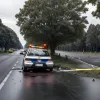 В Германии 53-летний водитель тяжело ранен в ДТП, врезавшись в дерево