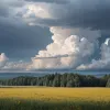 Народная примета на Зибеншлефер: Какой будет погода летом?