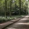 В Германии арестован украинец по подозрению в двойном убийстве матери и ребенка в Дорстене