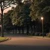 Массовая драка молодежи в парке Нюрнберга: есть пострадавшие