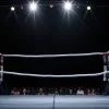 Бокс: Леон Харт поборется за шанс на третий титульный бой