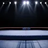 Шок в мире рестлинга: Трикс Уильямс сенсационно выиграл титул TNA World на NXT Battleground
