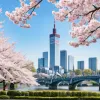 ФК "Фортуна" Дюссельдорф: как клуб преодолевает "японский кризис" и строит мосты с городом