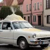 В Германии мужчина измазал машину майонезом и избил владельца