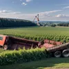 В Германии перевернулся трактор: 16-летний водитель пострадал, многотысячный ущерб