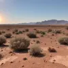 Европу охватила аномальная жара: где температура поднимется выше +40°C и ждать ли рекордов
