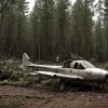 Крушение самолета в Германии: под Пайне разбился борт, пилот погиб