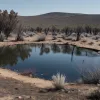 В Людвигсхафене одноразовый гриль стал причиной пожара на берегу водоема