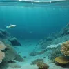 Треска в Балтийском море "усохла": виноваты перелов и изменение климата