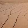 Рекордная засуха в Германии: Эксперты бьют тревогу, вводятся ограничения на воду