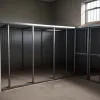 В Германии из приюта украли больных английских бульдогов: нужна помощь в розыске