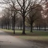 В Берлине совершено нападение на украинца с ножом