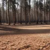 Аномальная жара в Германии: до +37°C и высокий риск солнечных ожогов и лесных пожаров
