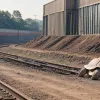 Пропавшая черепаха "Серп" найдена на стройке немецкой железной дороги
