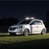 В Германии неизвестные выбросили кролика из машины посреди ночи