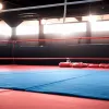 Леон Харт приблизился к третьему титульному бою, завоевав пояс WBA Continental