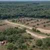 В Нигерии при нападении на деревню убиты более 100 человек