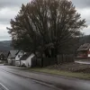 Трагедия в Германии: 5-летняя девочка погибла под колесами спецтехники, водитель был под наркотиками