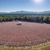 Фестиваль Southside в Германии: синоптики предупреждают о жаре до +37°C