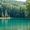 Эксперты оценили качество воды в озерах Германии: Где можно безопасно купаться, а где лучше воздержаться