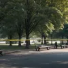 Попытка ограбления в парке Мюнстера: Неизвестные напали на молодых людей