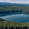 Тревога в Саксонии-Анхальт: Поиск пумы у озера Гейзельтальзее и предупреждение властей