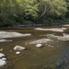 Авария канализации в Германии: сточные воды попали в реку Унструт в Эйхсфельде