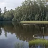 В Германии ищут аллигатора в водоеме: хищник мог попасть туда из незаконной фермы