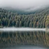 В Германии скандал: пенсионеры возмущены запретом на купание голышом на озере