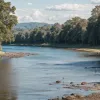 Тело мужчины найдено в реке Эльба у Хазелау