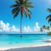 Реалити-шоу "FBoy Island" придет на Amazon Prime Video: Концепция, участники и дата выхода в Германии