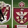 Семир Телалович перешел в «Нюрнберг»: 6 секретов о новичке из Ульма