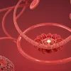 Ученые обнаружили уникальную новую группу крови, существующую лишь у одного человека в мире