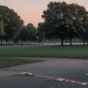 Жестокая поножовщина и нападение на полицию в городском парке Гамбурга