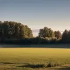 В Германии мужчина пытался заманить 7-летнюю девочку на манеж: полиция ищет свидетелей