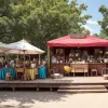 ZDF-Fernsehgarten 8 июня: Кто из звезд выступит в новом выпуске шоу?