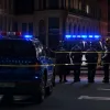 Полицейский пес остановил нападавшего во время семейной ссоры в Германии