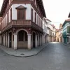 Целая деревня ищет пропавшего говорящего попугая-меломана