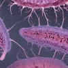 Ученые изучают "суперспособности" животных: как регенерация ящериц и рыбок может помочь людям