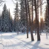 Финская лыжница Анни Линдроос совершила каминг-аут: "Я теперь свободна"