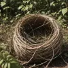 Птицы строят гнезда из "нитей войны": новое экологическое бедствие в Украине
