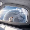 Плюшевый Лебедь Джой отправился на МКС: Необычный индикатор невесомости в частной миссии Axiom 4