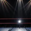 Звезда WWE раскрыла "гигантский" сюрприз: что ждать фанатам?