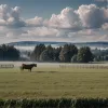 Ложная тревога? «Украденная» сперма быка на 30 тысяч евро нашлась на ферме, но полиция продолжает расследование