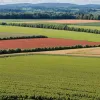 Скандал в Германии: Глава фермеров предложил платить сезонным рабочим меньше минимальной зарплаты