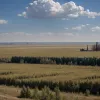 Ситуация на фронте: Бои в Сумской области и продвижение в Донецкой