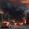 Автомобиль охотника стал причиной крупного лесного пожара в Германии