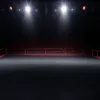 Fame Fighting 3: Названы первые участники громкого шоу боев знаменитостей в Эссене
